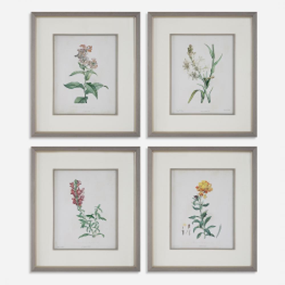 Uttermost Heirloom Blooms Study Framed Prints, S/4