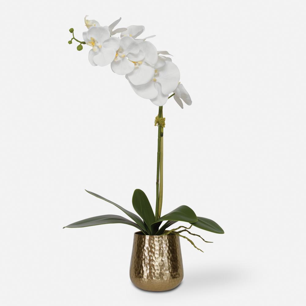 Uttermost Cami Orchid, Brass