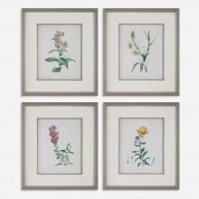 Uttermost 32285 - Uttermost Heirloom Blooms Study Framed Prints, S/4