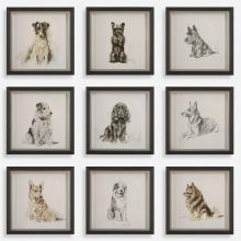 Uttermost 32344 - Uttermost Loyal Companion Framed Prints, S/9