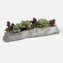 Uttermost 60174 - Uttermost Charita Succulents