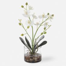 Uttermost 60201 - Uttermost Glory Orchid, White