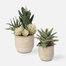 Uttermost 60208 - Uttermost Seaside Succulents, S/2