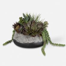 Uttermost 60214 - Uttermost Gobi Succulent Centerpiece