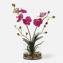 Uttermost 60220 - Uttermost Glory Orchid, Fuschia