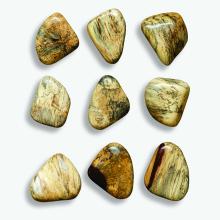 Uttermost 04324 - Uttermost Pebbles Wood Wall Decor, Blonde, S/9