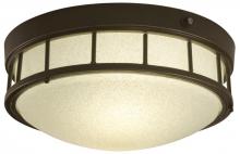 Outdoor Flush Mounts