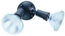 Directional Wall Lights