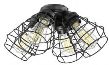 Craftmade LK405101-FB-LED - 4 Light with Cage Shade w/4x4w LED