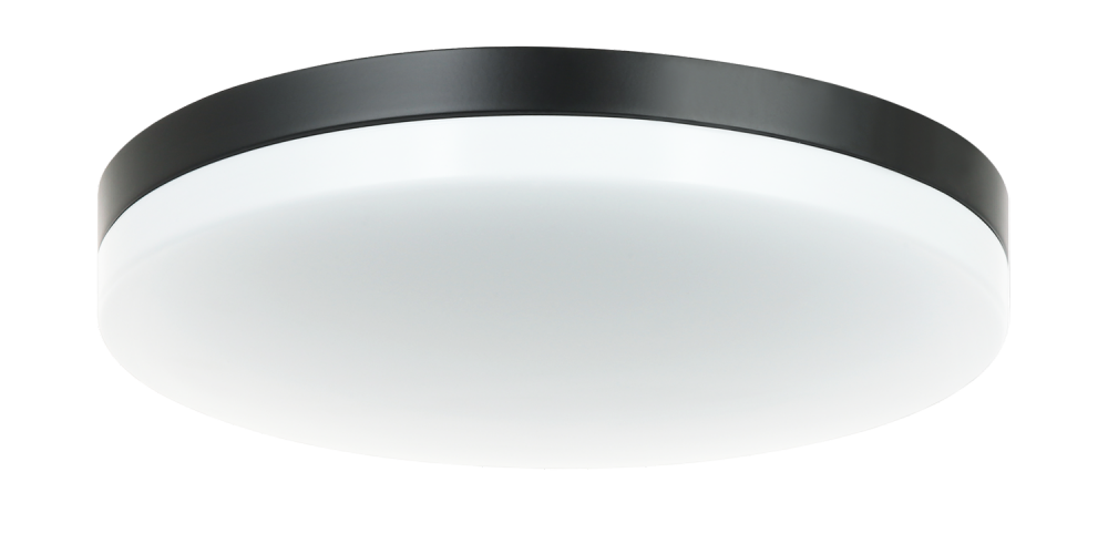 Orion Black Ceiling Mount