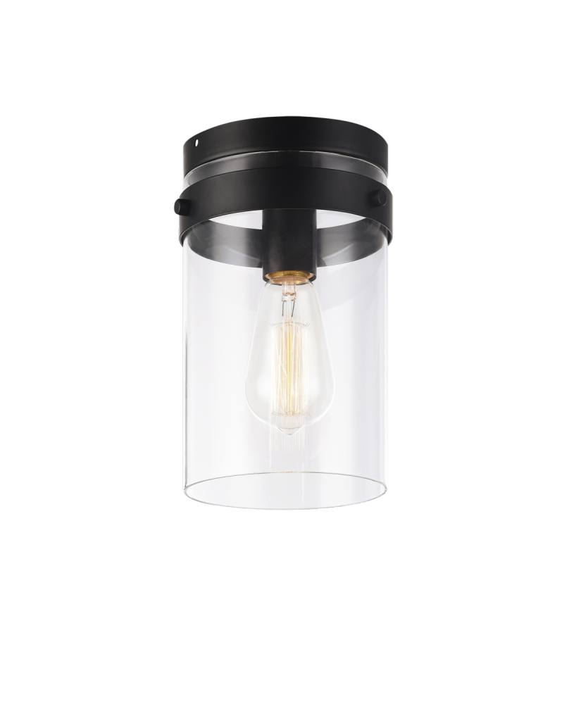 Zale Black Ceiling Mount